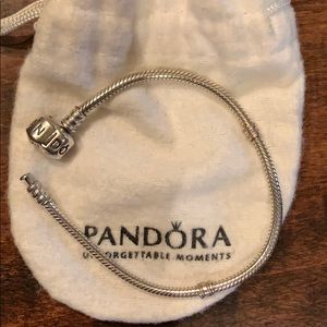 pandora charm bracelet